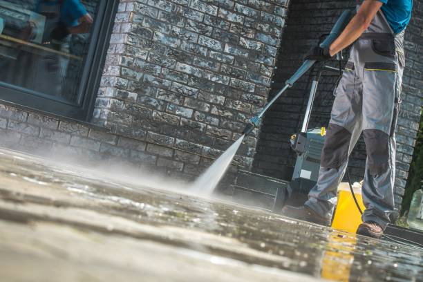 Best Fleet Vehicle Washing  in Scottville, MI