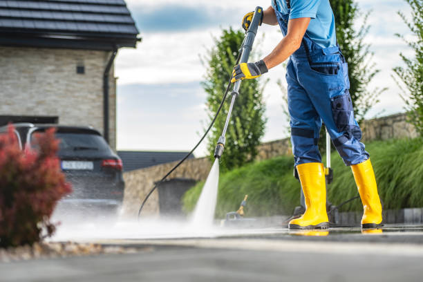 Best Solar Panel Cleaning  in Scottville, MI